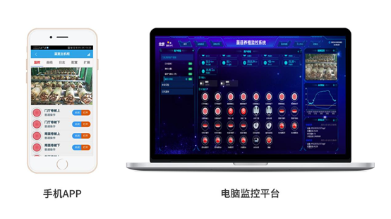 菌菇智能養殖監控零碎遠程監測