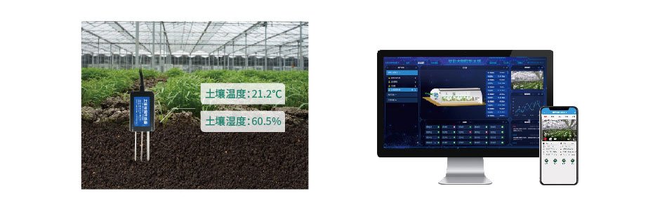 溫室大棚智能控制零碎墒情監測功傚